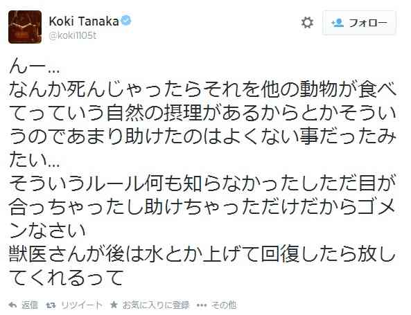 元KAT-TUNの田中聖が野鳥を保護し病院に連れてくも一部から批判され謝罪