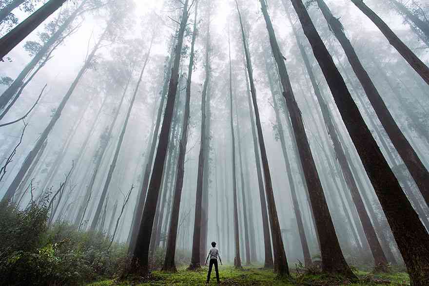 【画像】人間のちっぽけさを実感させられる雄大な自然の写真28選