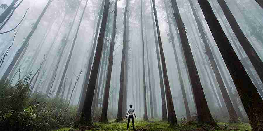Tiny Humans Lost In The Majesty Of Nature | Bored Panda
