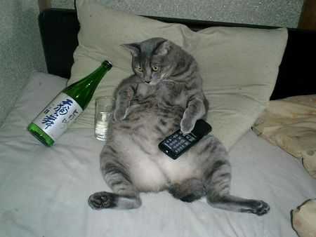 きっと彼らはすごいことを考えてる…物思いにふける動物たちの写真13枚