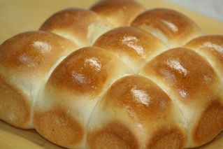 どうでもいいことを報告するトピ