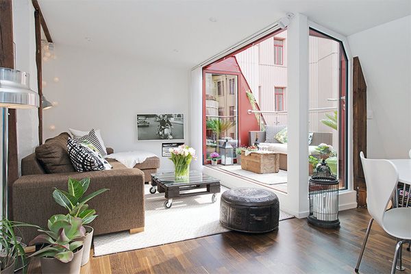 置きたい！部屋の空気をきれいにしてくれる「スーパー観葉植物」7種