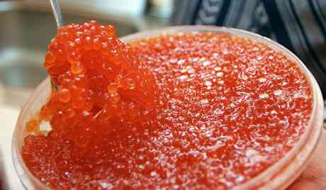 米食品医薬品局　韓国製海産物の回収を求める - News - 社会・歴史 - The Voice of Russia