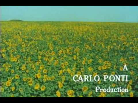 ひまわり　テーマ曲 　ソフィア・ローレン　マルチェロ・マストロヤンニ - YouTube