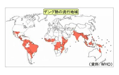 【注意喚起】デング熱の国内感染を確認、約70年ぶり…渡航歴のない埼玉の女性
