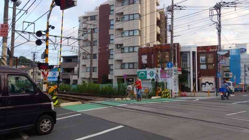 「助けなきゃ！」JR横浜線踏切事故・村田奈津恵さんの勇気から学ぶべきこと：人助け行動の心理(碓井 真史) - 個人 - Yahoo!ニュース