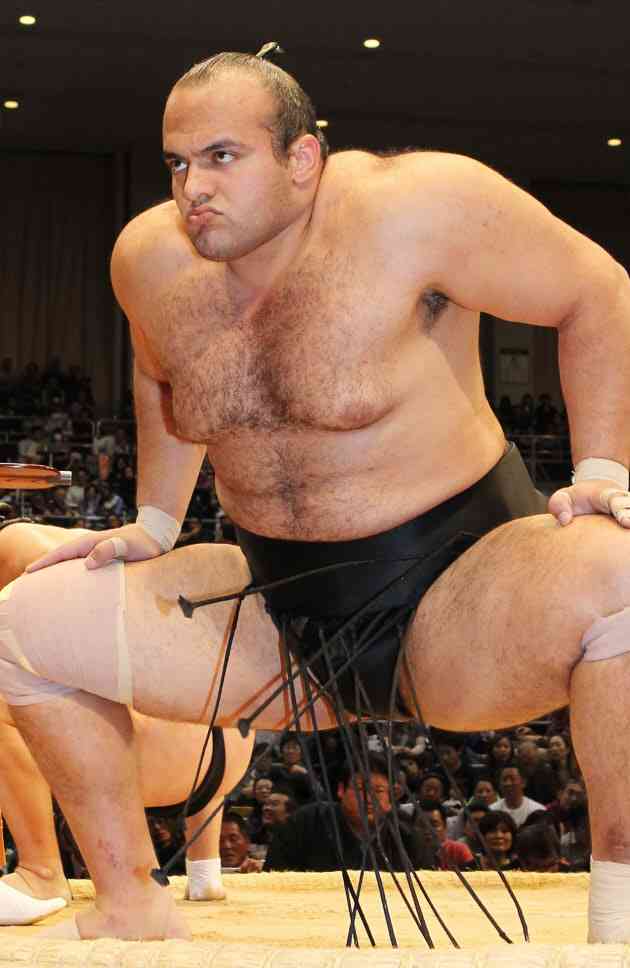 相撲好きですか？