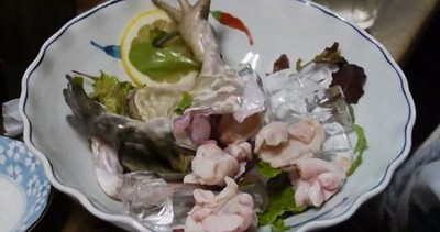 東京のすし店がカエルの活き造りを提供、「動物虐待」と批判される