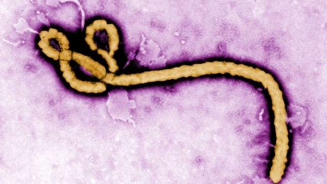 Ebola Mutation Confirmed To Be Airborne | National Report