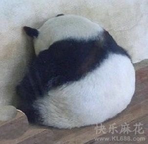 今まで言われたお世辞