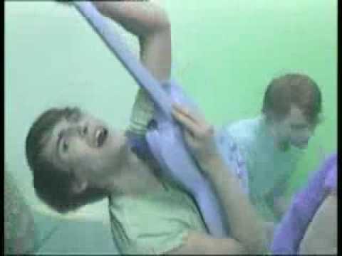 Late Of The Pier - Focker - YouTube