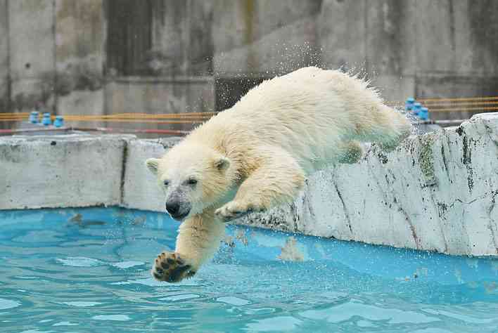 夏のガルちゃん夕涼み会( ´ ▽ ` )