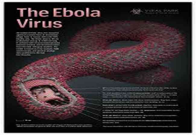 Ebola is Airborne!  Confirmed!  Red Alert!  (Video) | Animals-Pets