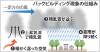＜広島豪雨＞バックビルディング現象の可能性 （毎日新聞） - Yahoo!ニュース