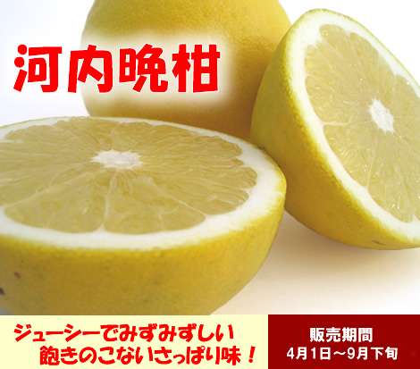 お取り寄せしてる商品ありますか？