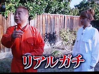 好きなポケモンは？
