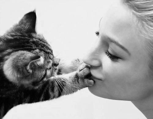 最近いつキスしました？