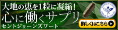 うつ病と脳のメカニズム