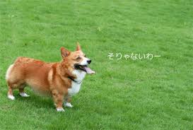 ドン引きされたこと