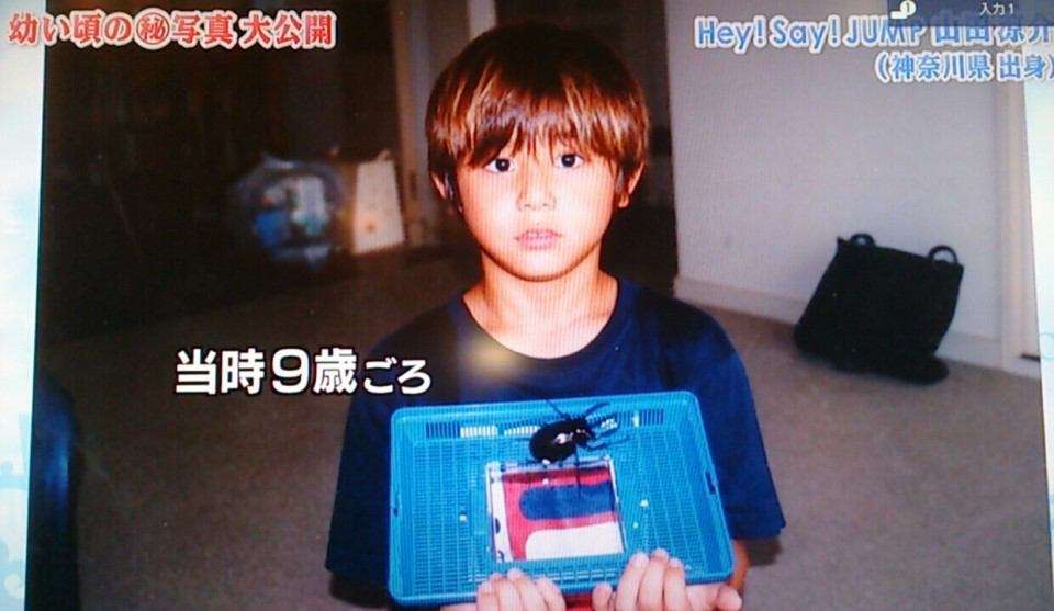 美少年と聞いて思い浮かぶ人は？