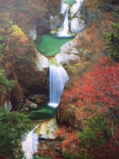 綺麗な画像【目の保養】