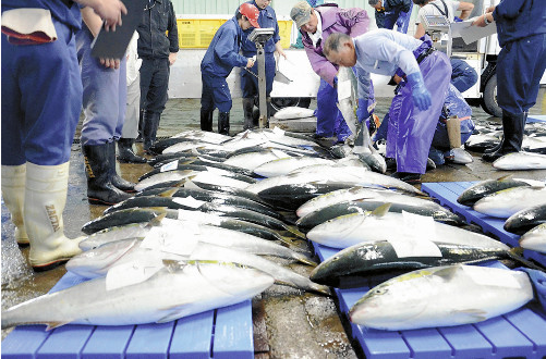 サケ網にブリ、1600円のサンマ…北の海に異変
