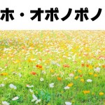 嫌な流れを断ち切る方法（ホ・オポノポノのすごい効果と仕組み）
