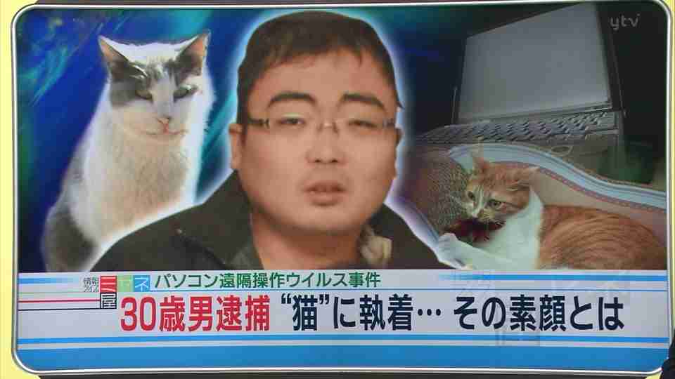 猫50匹殺し逮捕の自称“愛猫家” 自宅では猫一匹飼っていた