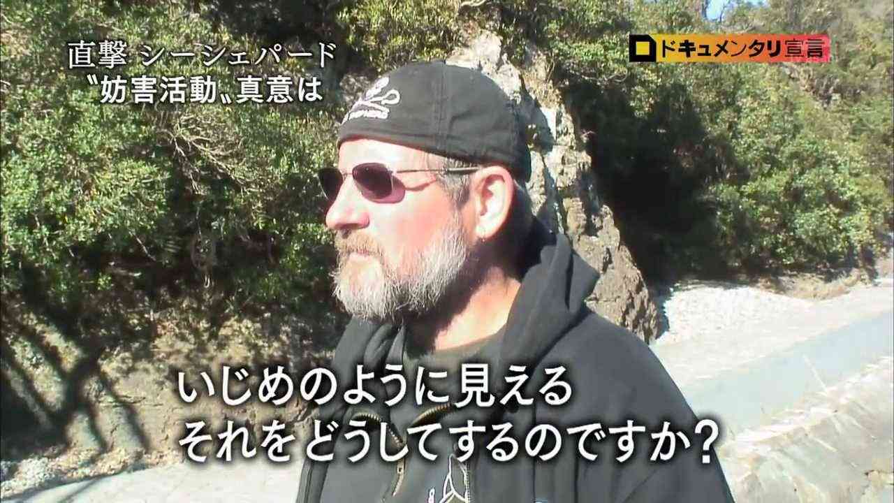 【シー・シェパード特集】イルカ漁妨害に揺れる太地町　2／2 - YouTube