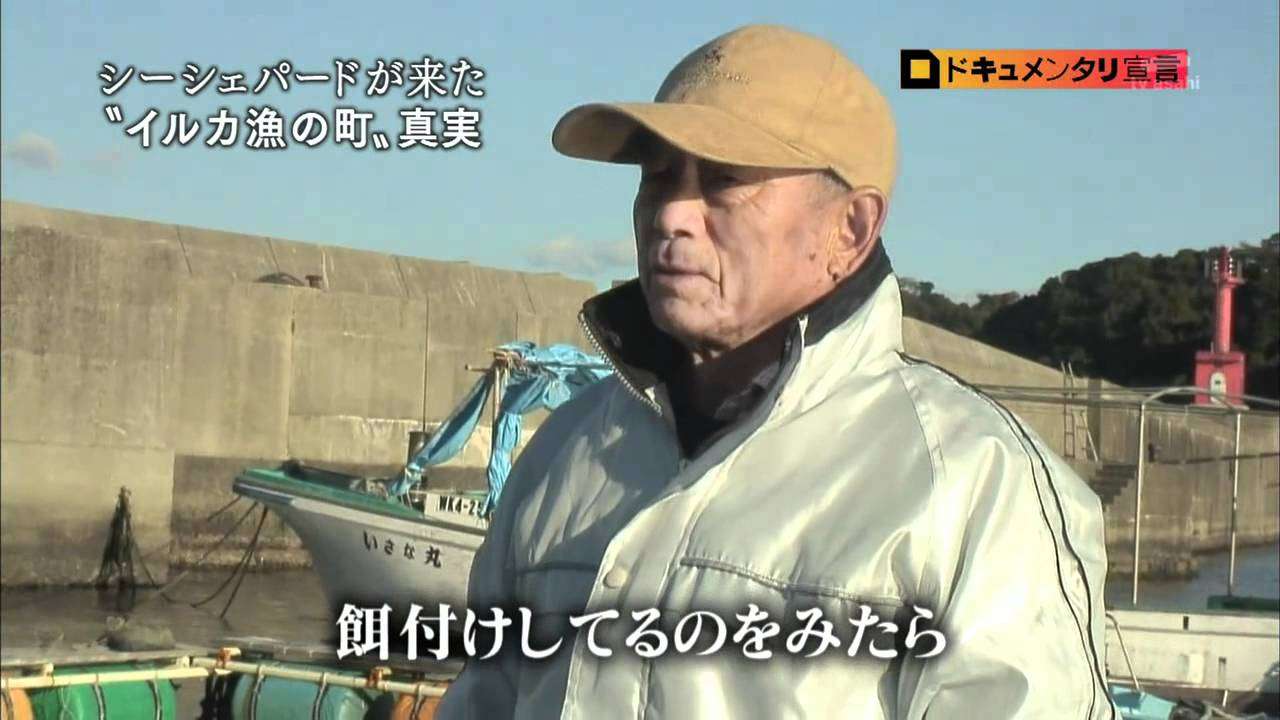 【シー・シェパード特集】イルカ漁妨害に揺れる太地町　1／2 - YouTube