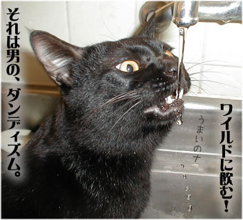 ダンディな俳優