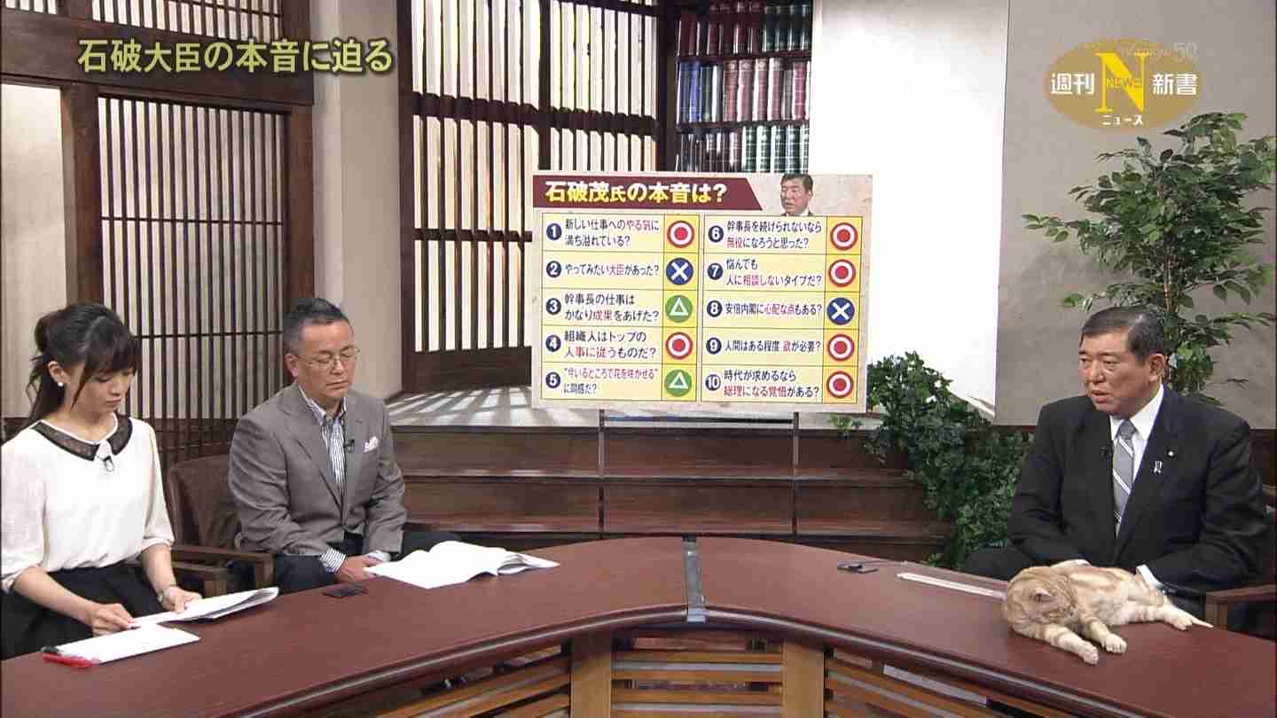 テレ東のニュース番組のアイドル猫「まーご」が自由すぎる　