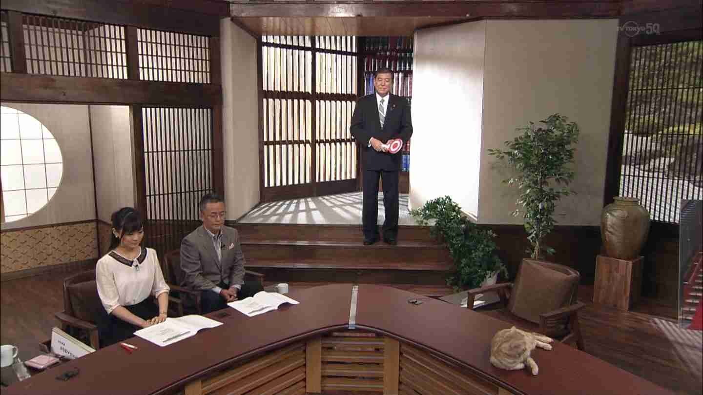 テレ東のニュース番組のアイドル猫「まーご」が自由すぎる　