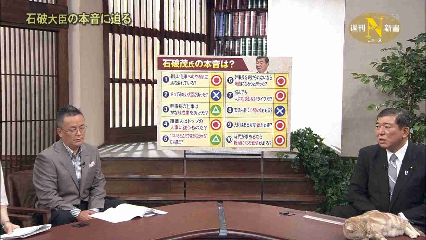 テレ東のニュース番組のアイドル猫「まーご」が自由すぎる　