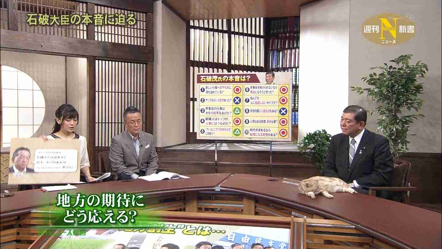 テレ東のニュース番組のアイドル猫「まーご」が自由すぎる　