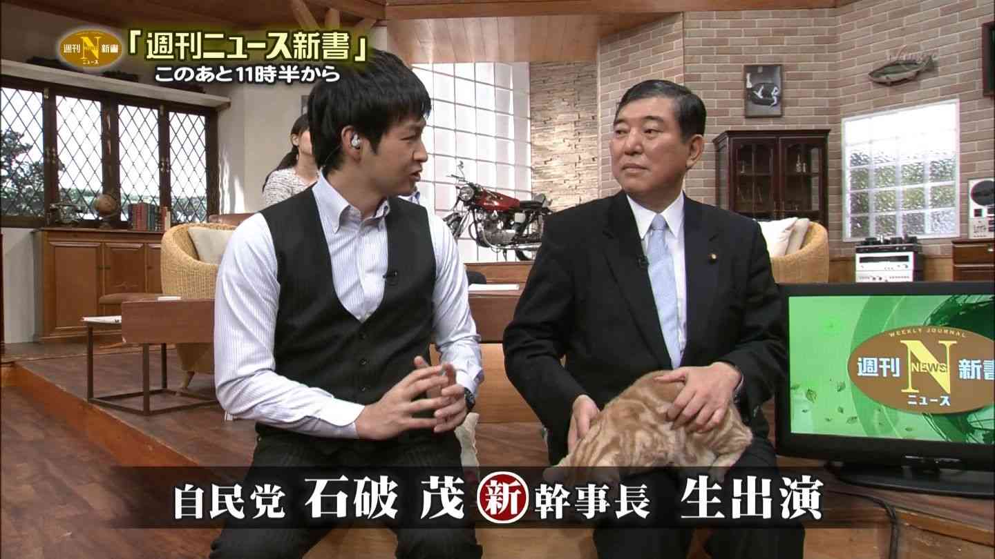 テレ東のニュース番組のアイドル猫「まーご」が自由すぎる　