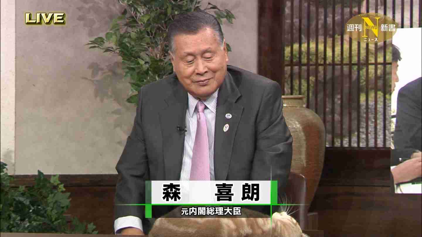 テレ東のニュース番組のアイドル猫「まーご」が自由すぎる　