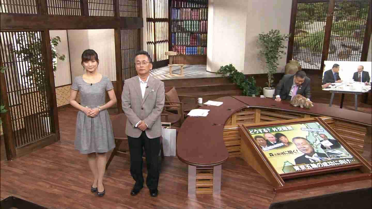 テレ東のニュース番組のアイドル猫「まーご」が自由すぎる　