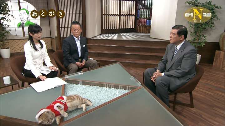 テレ東のニュース番組のアイドル猫「まーご」が自由すぎる　