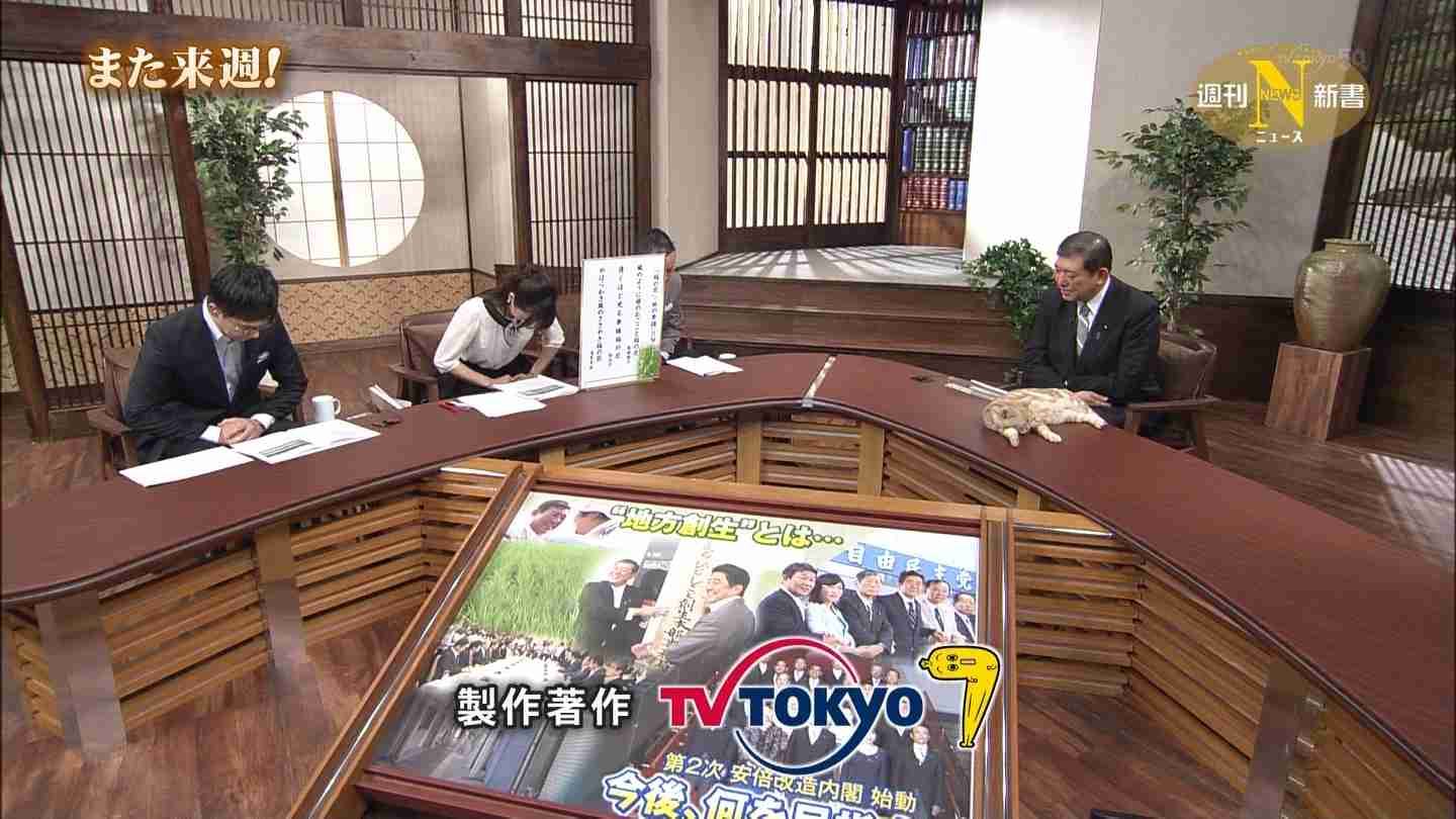 テレ東のニュース番組のアイドル猫「まーご」が自由すぎる　
