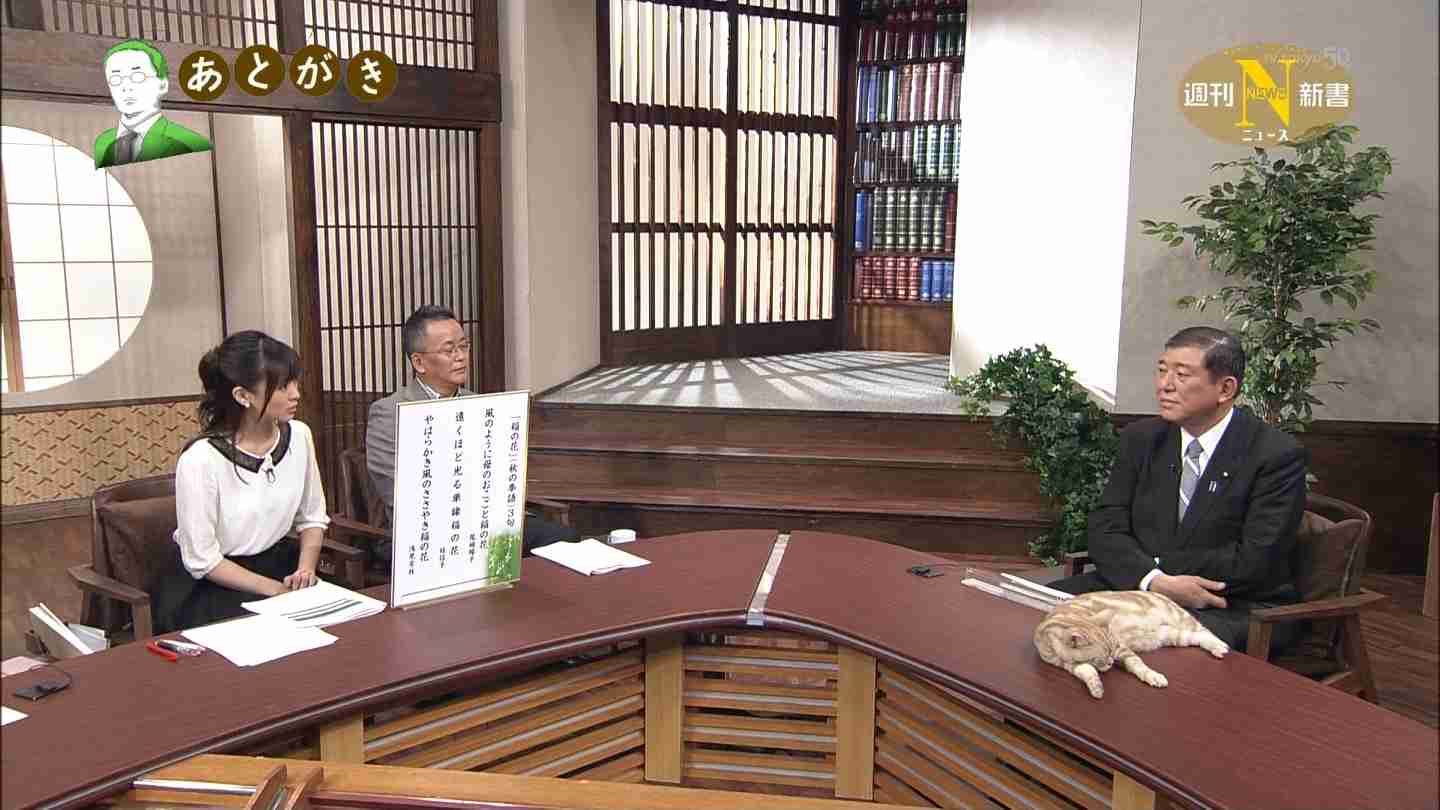 テレ東のニュース番組のアイドル猫「まーご」が自由すぎる　