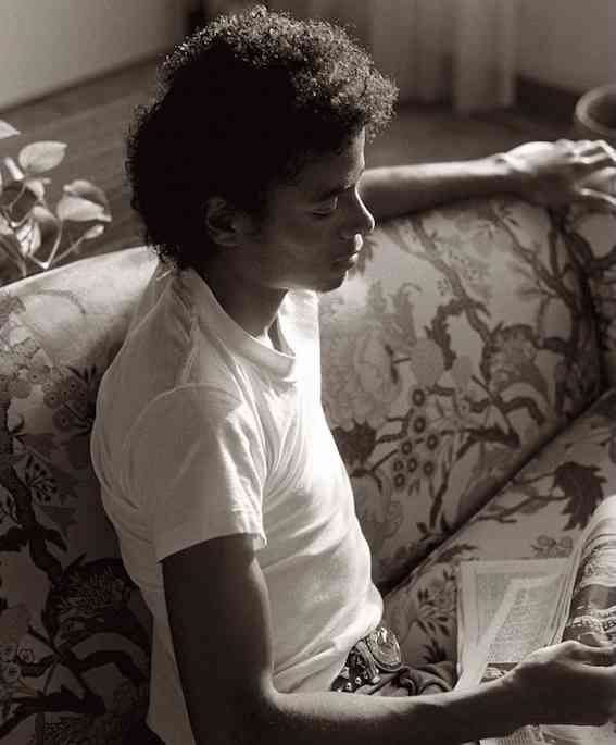 人種差別、宗教、反ユダヤ主義［1］『The Michael Jackson Tapes』 : 読書日記と着物あれこれ