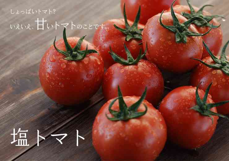 塩トマトを使ったレシピ