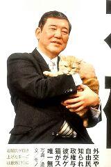 テレ東のニュース番組のアイドル猫「まーご」が自由すぎる　