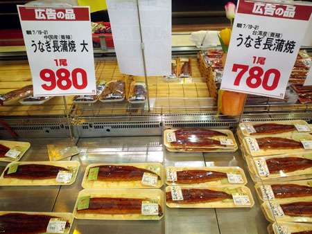 食生活で避けているものについて