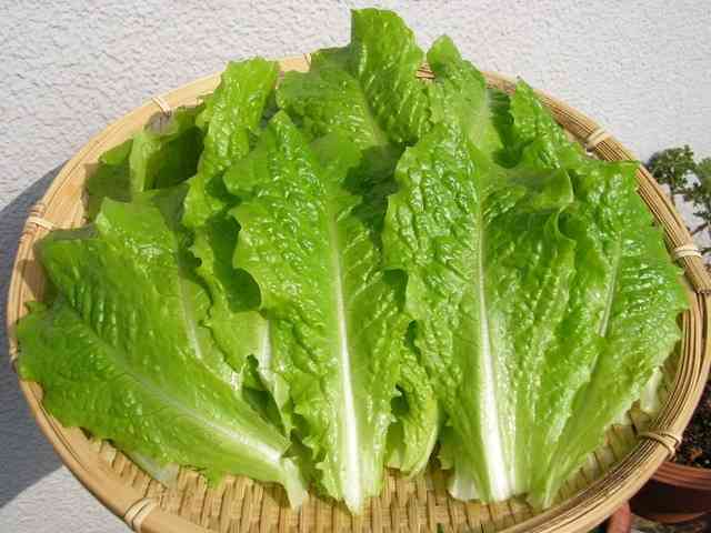 野菜が高い時のお助けレシピ！