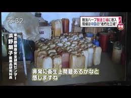 脱法ドラッグから「危険ドラッグ」へ呼称変更…全年代の70%以上が「効果ない」と回答