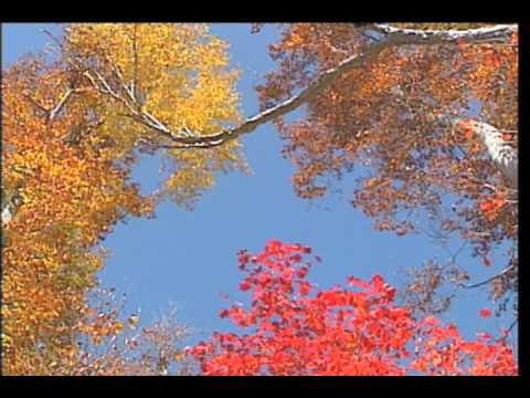 里の秋＿川田正子さん - YouTube