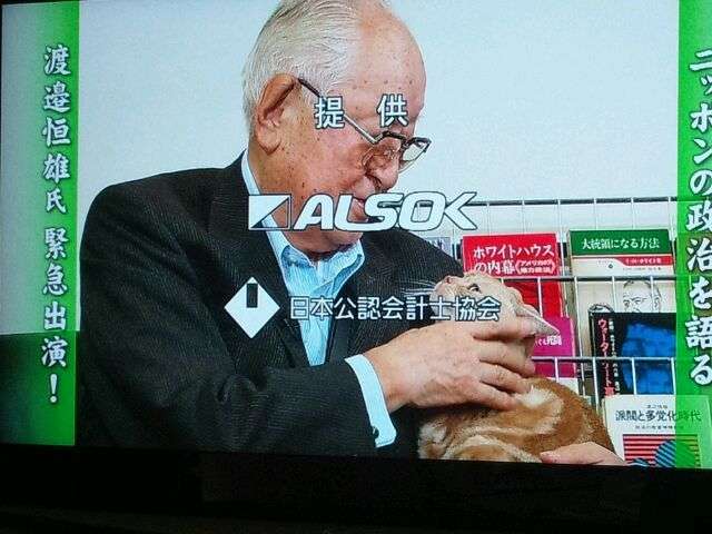 テレ東のニュース番組のアイドル猫「まーご」が自由すぎる　