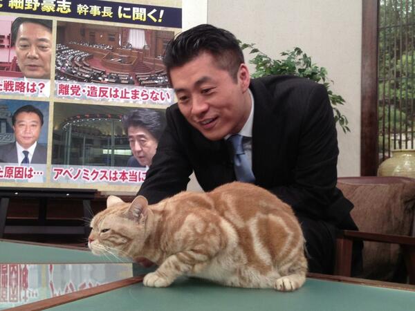 テレ東のニュース番組のアイドル猫「まーご」が自由すぎる　